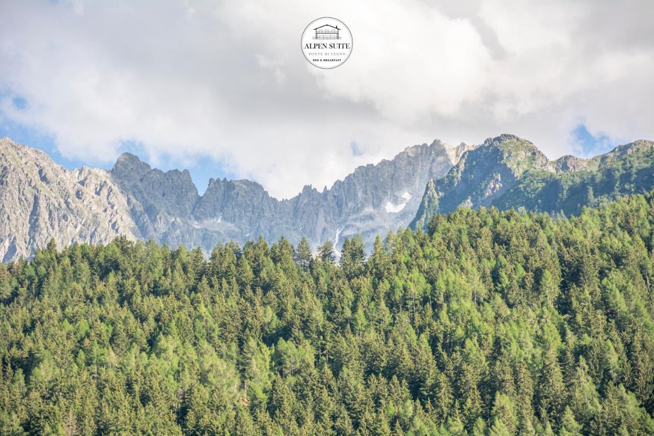B&B Alpen Suite Понте-ди-Леньо Экстерьер фото