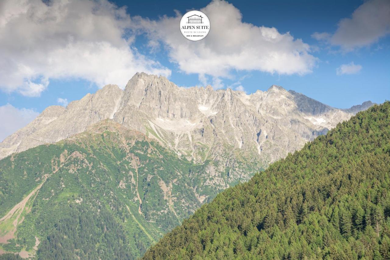 B&B Alpen Suite Понте-ди-Леньо Экстерьер фото